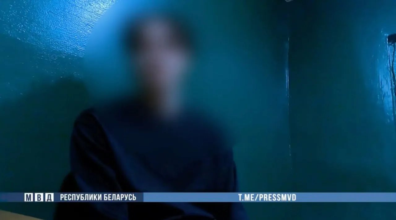 Задержан 19-летний пинчанин - приверженец национал-социалистической идеологии